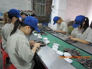 東莞安盈檢品工廠 專業(yè)為出口日本市場提供100%檢查服務(wù)、廠家直銷與價(jià)格優(yōu)勢